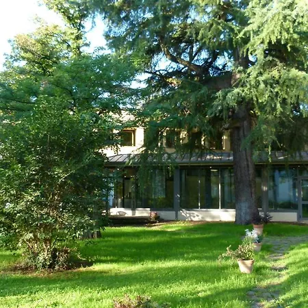 Meditur Bologna